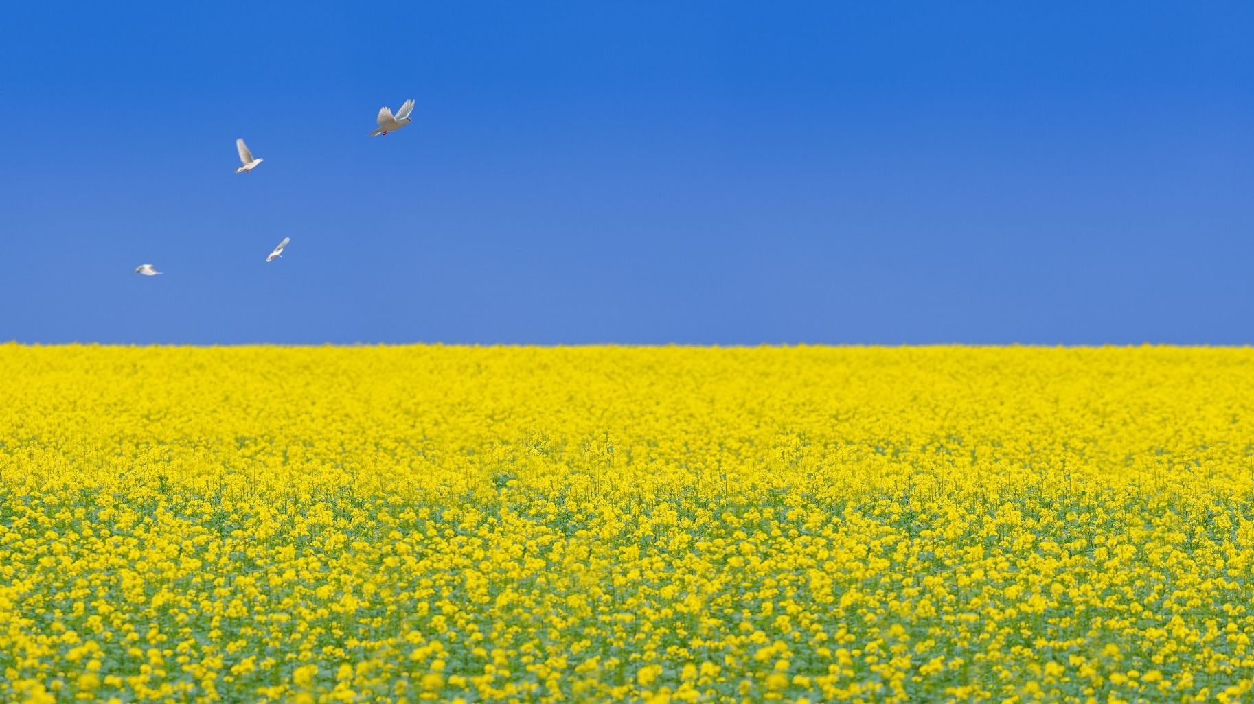 Gottesdienste der ukrainischen Gemeinde